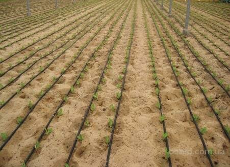 Наладка грейдер-элеватора